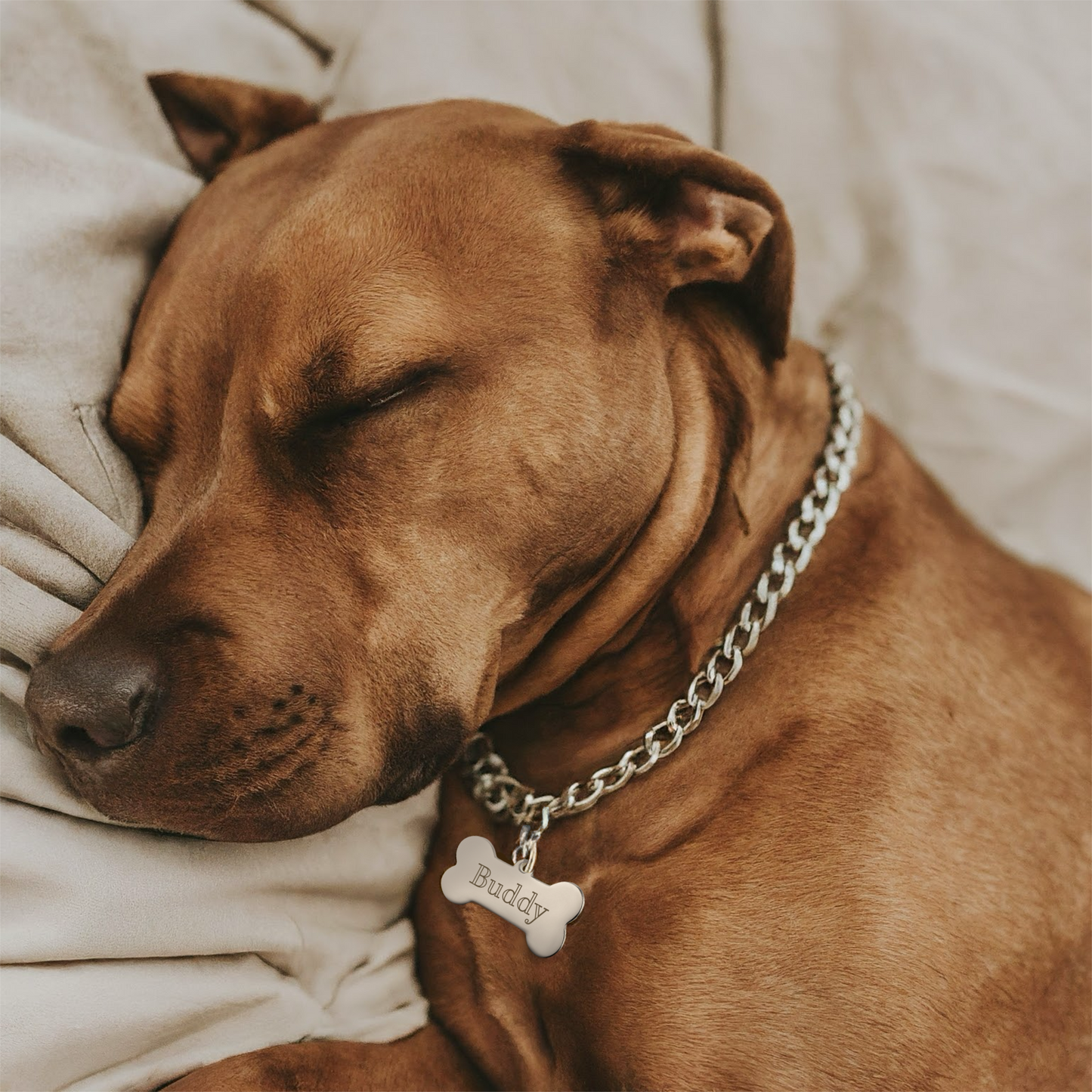 Personalized Bone-Shaped Pet Tag